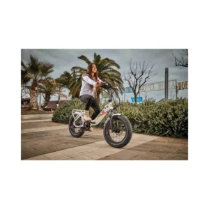 ARMONY CICLONE SUPERSIC EBIKE